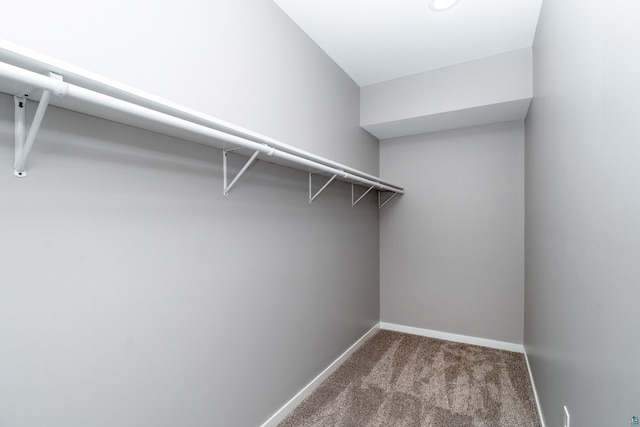 5122 Hermantown Rd Unit 5122, Hermantown, MN 55810 - walk in closet with carpet flooring