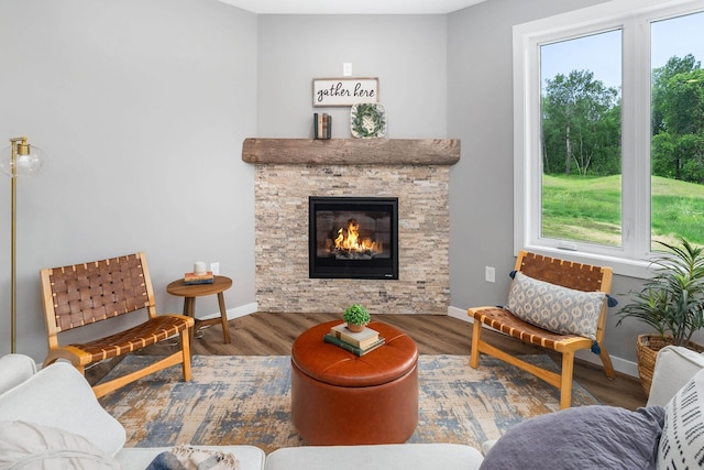 5122 Hermantown Rd Unit 5122, Hermantown, MN 55810 - living room with healthy amount of natural light, wood finished floors, and a fireplace
