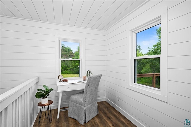 4414 Midway Rd, Hermantown, MN 55811 - home office with dark wood finished floors and plenty of natural light