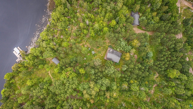 3206 Shady Rst, Ely, MN 55731 - aerial overview of property's location