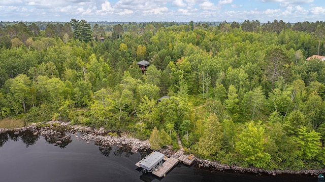 3206 Shady Rst, Ely, MN 55731 - bird's eye view of a forest and a nearby body of water