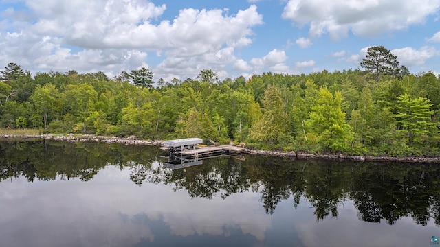 3206 Shady Rst, Ely, MN 55731 - dock area with a view of trees and a water view