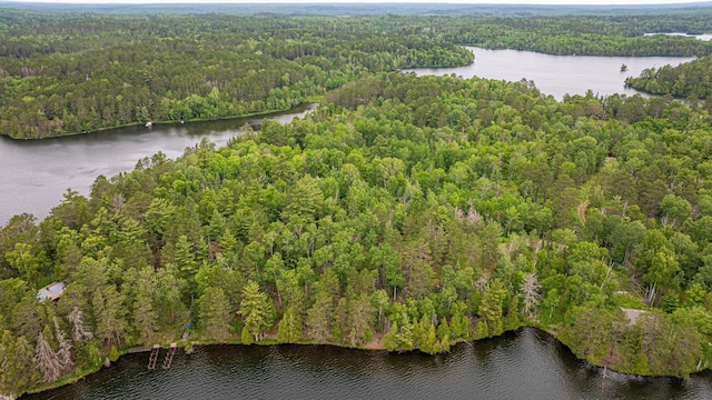 1361 Peninsula Rd, Ely, MN 55731