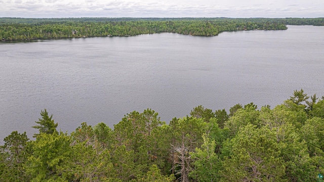 1361 Peninsula Rd, Ely, MN 55731