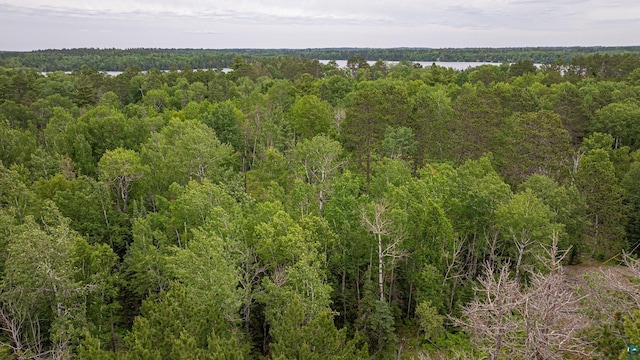 1361 Peninsula Rd, Ely, MN 55731