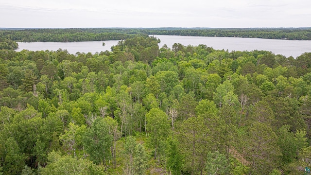 1361 Peninsula Rd, Ely, MN 55731