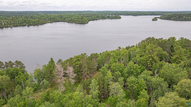 1361 Peninsula Rd, Ely, MN 55731