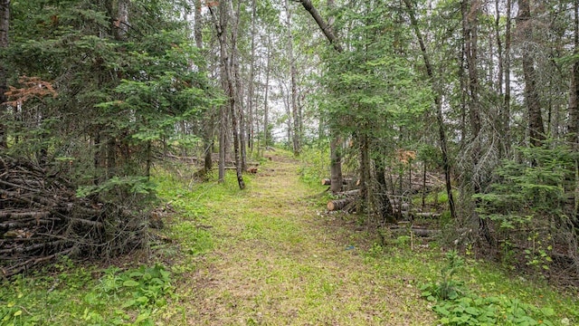 1361 Peninsula Rd, Ely, MN 55731