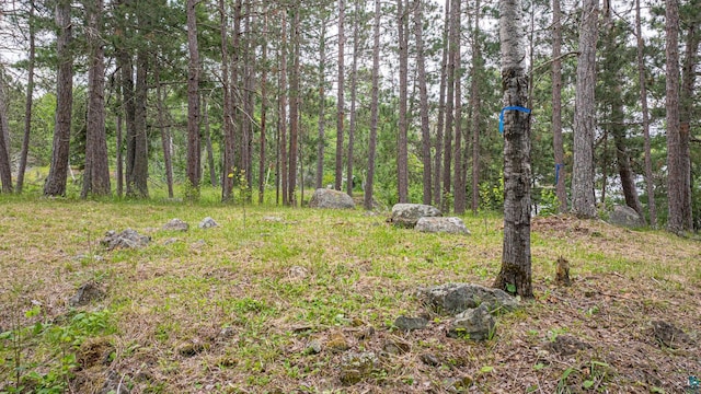 1361 Peninsula Rd, Ely, MN 55731