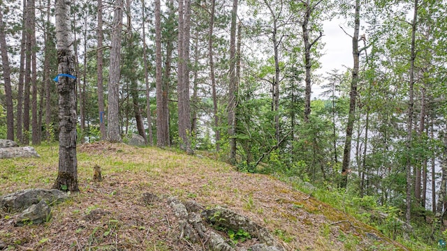 1361 Peninsula Rd, Ely, MN 55731
