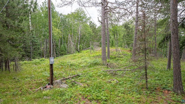 1361 Peninsula Rd, Ely, MN 55731