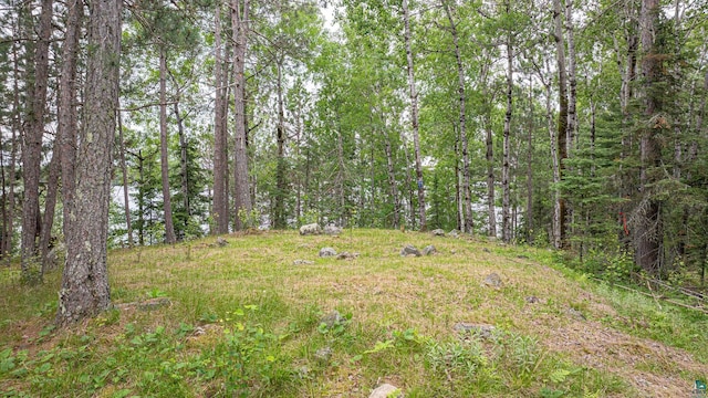 1361 Peninsula Rd, Ely, MN 55731