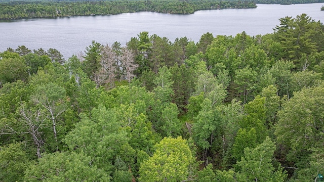 1361 Peninsula Rd, Ely, MN 55731