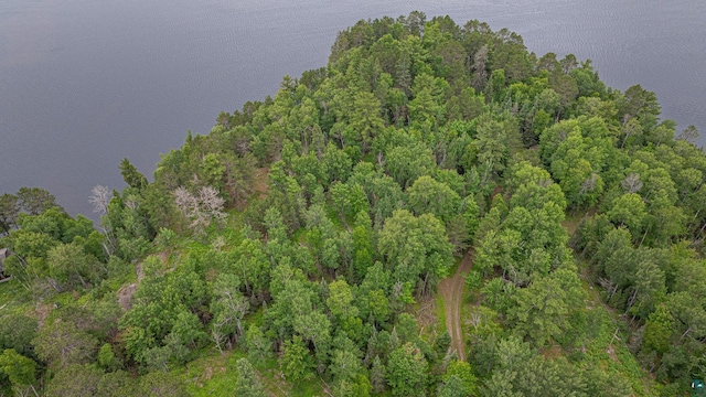 1361 Peninsula Rd, Ely, MN 55731