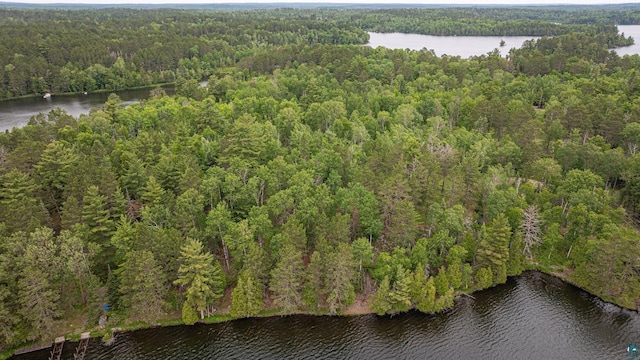1361 Peninsula Rd, Ely, MN 55731