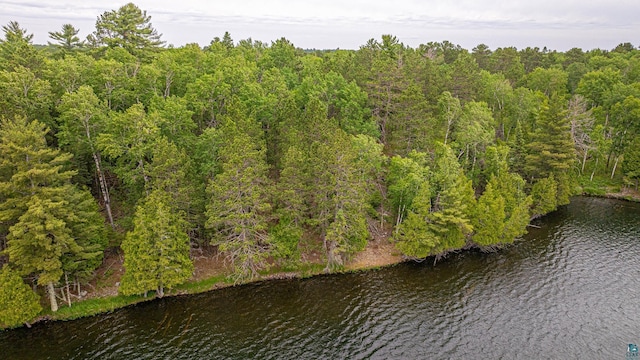 1361 Peninsula Rd, Ely, MN 55731