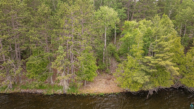 1361 Peninsula Rd, Ely, MN 55731