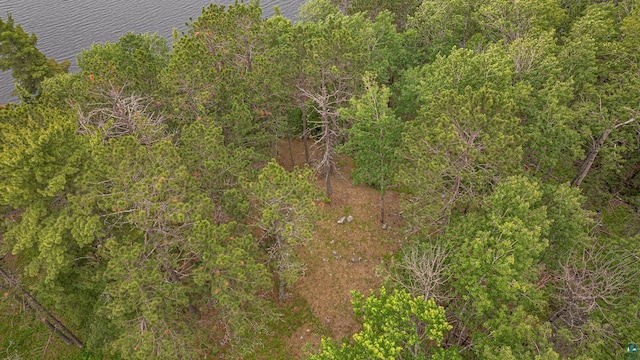 1361 Peninsula Rd, Ely, MN 55731