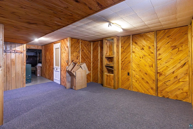53 Dogwood Blvd, Babbitt, MN 55706 - finished basement with wooden walls and carpet