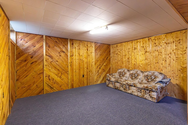 53 Dogwood Blvd, Babbitt, MN 55706 - sitting room with carpet and wood walls