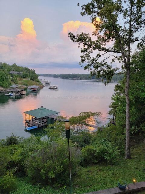 view of water feature featuring a boat dock