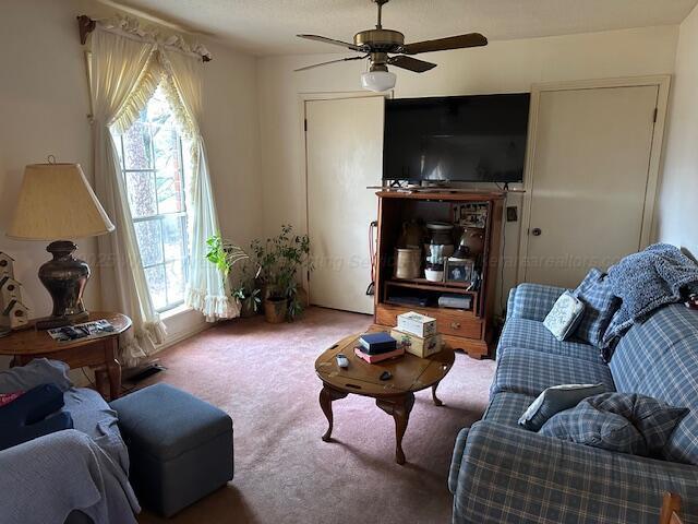 living room with a wealth of natural light, ceiling fan, and carpet flooring