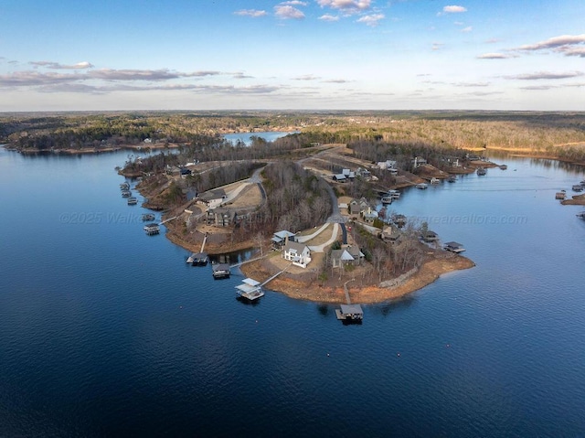 aerial view at dusk featuring a water view