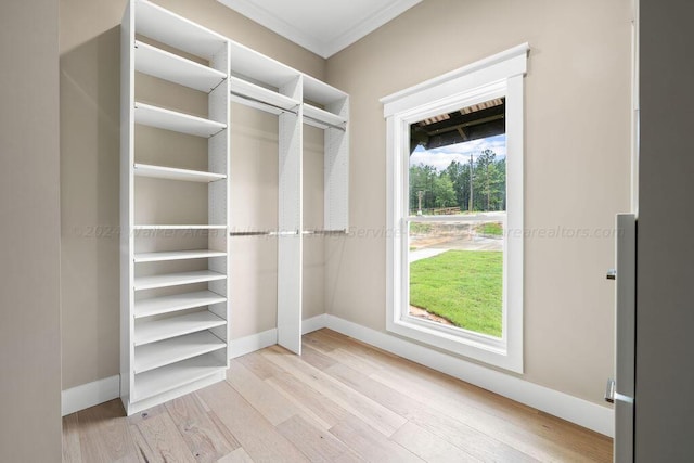 walk in closet with light hardwood / wood-style flooring