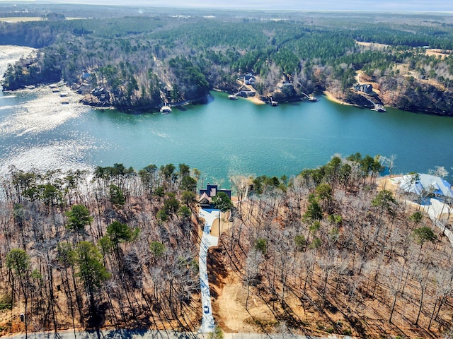 bird's eye view with a water view and a view of trees