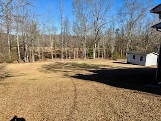 view of yard featuring a storage shed