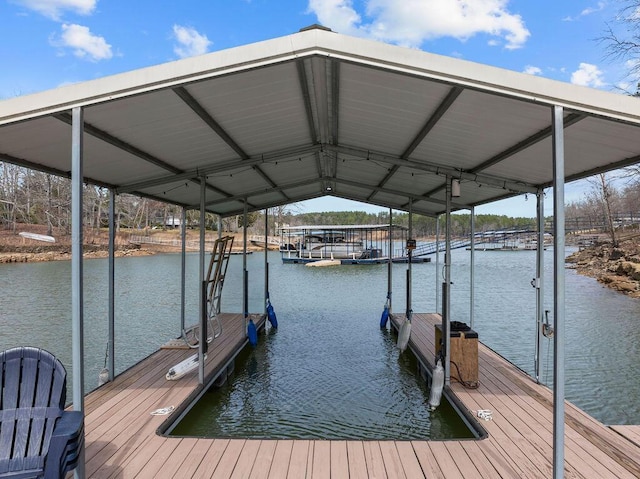 dock area with a water view