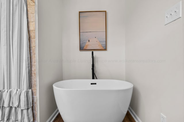 bathroom with a bathing tub