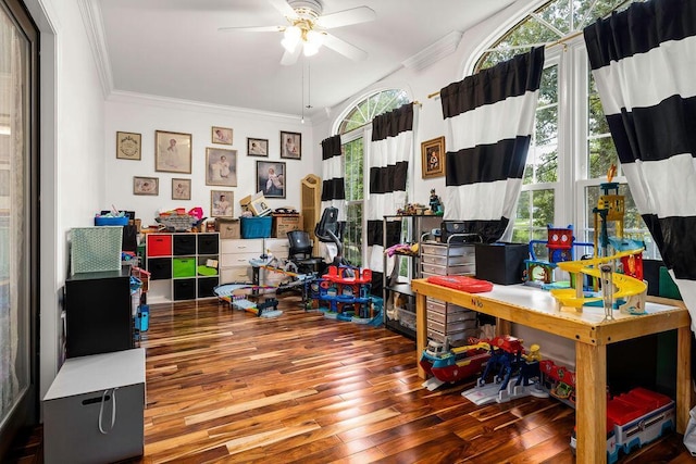 office with hardwood / wood-style floors, plenty of natural light, ceiling fan, and crown molding