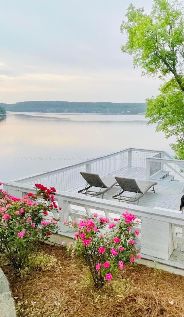 dock area with a water view