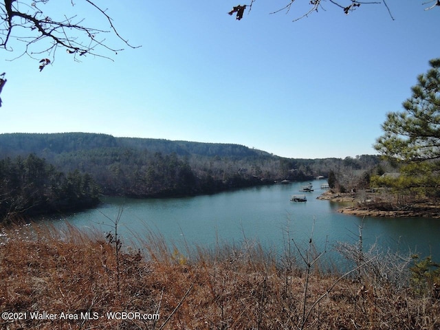 Listing photo 3 for Sipsey Overlook Rd, Double Springs AL 35553