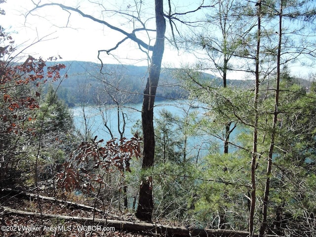 Sipsey Overlook Rd, Double Springs AL, 35553 land for sale