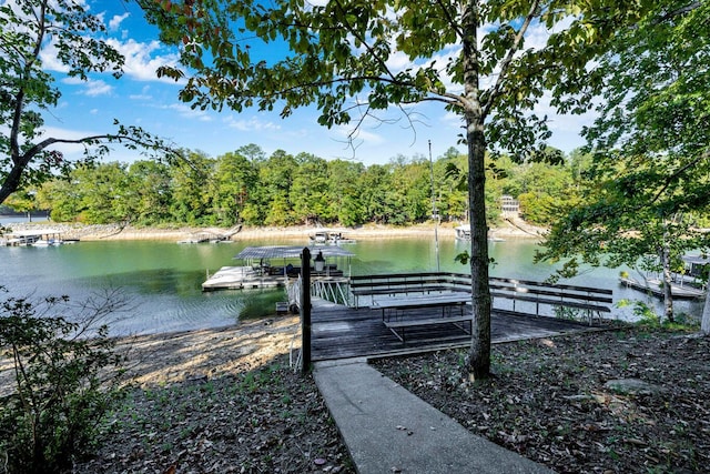 dock area featuring a water view