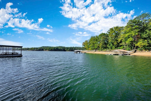 water view featuring a boat dock