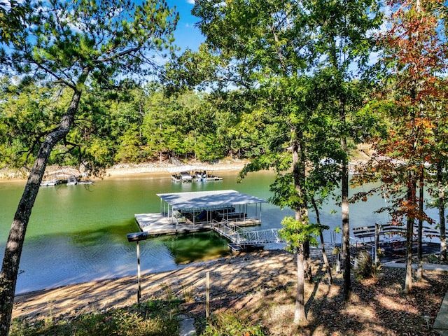 dock area with a water view