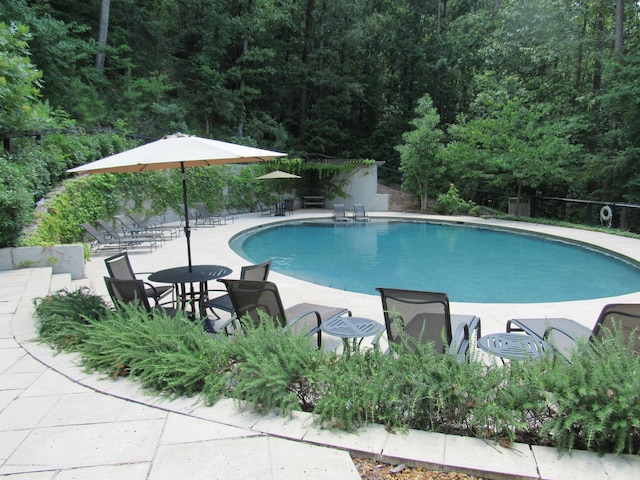 view of swimming pool featuring a patio