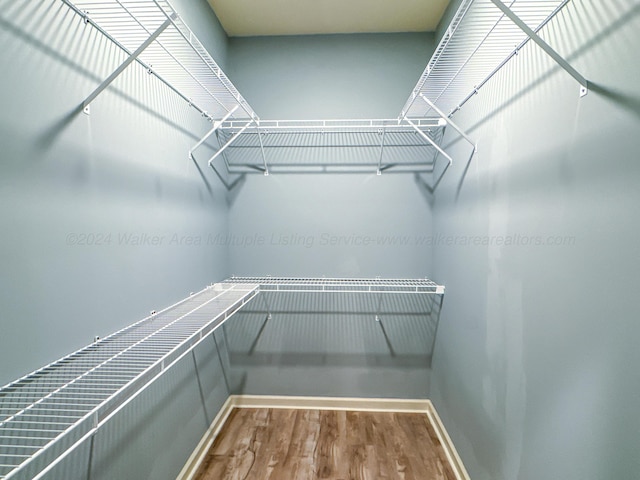 walk in closet featuring hardwood / wood-style flooring