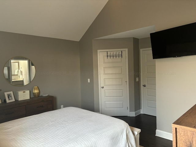 bedroom featuring lofted ceiling, dark wood-type flooring, and a closet