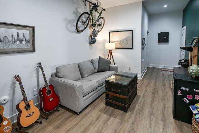 living room with wood-type flooring