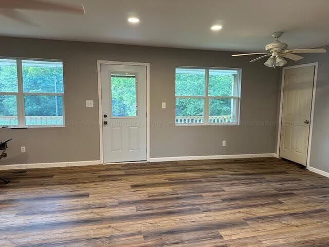 entryway with dark hardwood / wood-style flooring, a wealth of natural light, and ceiling fan