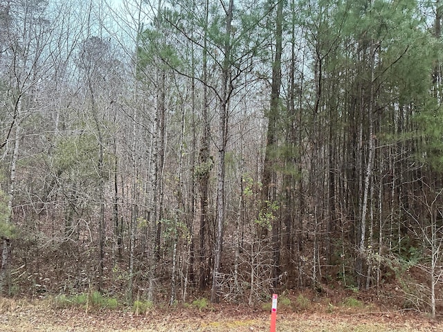 Listing photo 2 for LOT60 Brushy Creek Main, Arley AL 35541