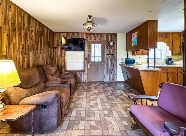 living room featuring sink and wooden walls