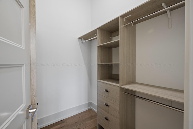 walk in closet featuring dark hardwood / wood-style floors