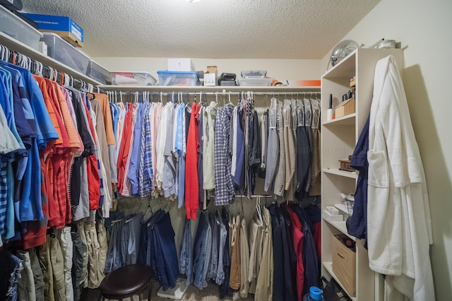 view of spacious closet