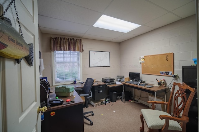 office space with carpet flooring and a drop ceiling