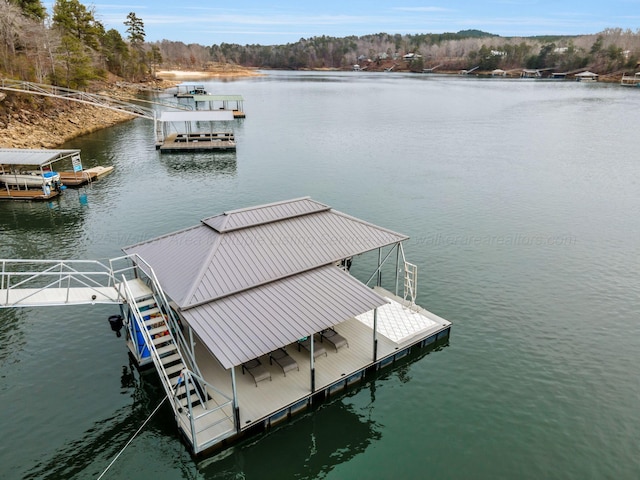 dock area with a water view